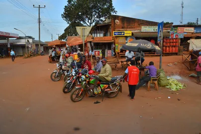 DSC_5394 (Large).JPG